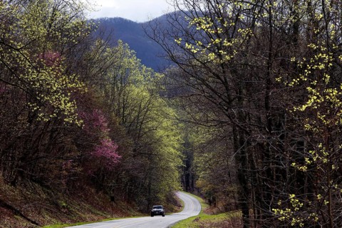 Winding road through spring-like forests along the Blue Ridge Parkway, zero