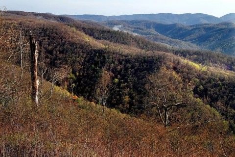 Impressive forest and hill scenery along the Blue Ridge Parkway, zero
