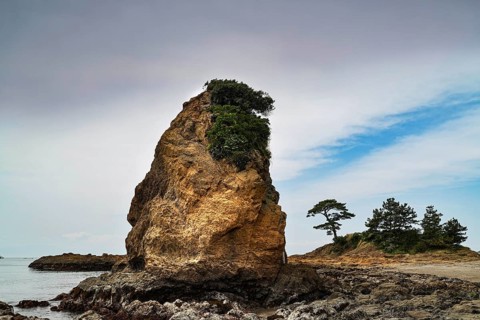 Yokosuka coast with distinctive rock formations and trees in Tateishi Park, Yokosuka, Kanagawa,
