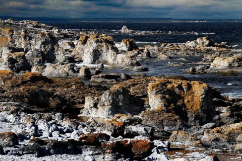 Coastal landscape with impressive limestone columns near Digerhuvud, Digerhuvud, Fårö, Sweden