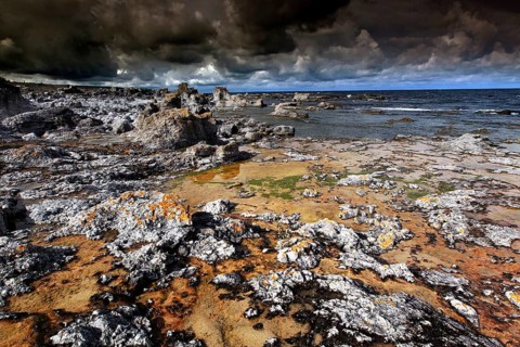 Limestone rock formations near Digerhuvud with rough coast, Digerhuvud, Fårö, Sweden