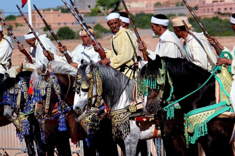 Rider on horseback, magnificently decorated with traditional accessories, parading in the arid
