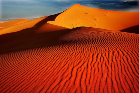 Windformed wave patterns in the sand dunes of the impressive Erg Chebbi, Erg Chebbi, Morocco