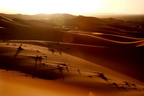 Sunset bathes the sand dunes of Erg Chebbi in golden light and shadow, Erg Chebbi, Morocco