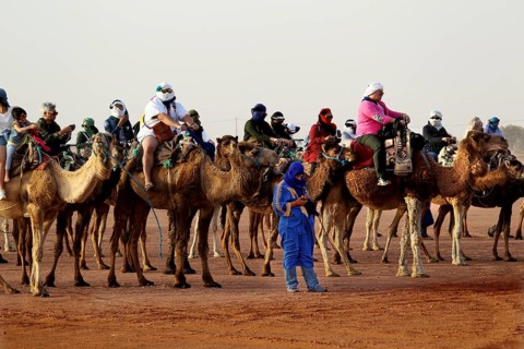 Large group of tourists on camels accompanied by Bedouins in the desert, Erg Chebbi, Morocco