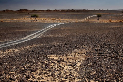 Trail leads through the rocky, dry landscape of Erfoud, Erfoud, Niger, Morocco