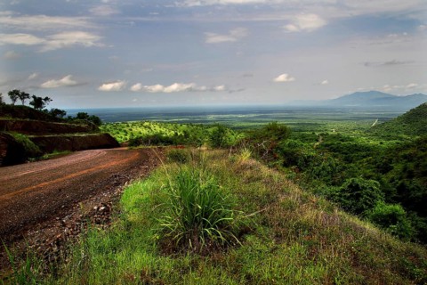 Breathtaking view of Mago National Park with a pristine green landscape, Mago National Park,
