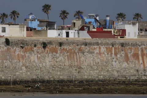 View of the Cité Portugaise of El Jadida with distinctive city walls and palm trees, El Jadida,