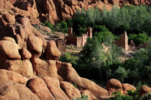 Unique 'monkey paw' rock formations with mysterious ruins and lush greenery, Dadès, region, MA