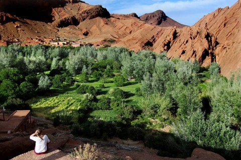 Breathtaking views of lush vegetation and distinctive monkey paw formation, Dadès, region, MA