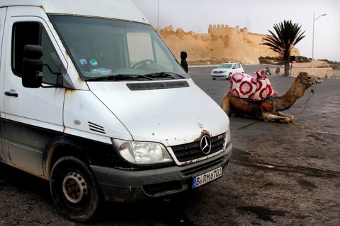 White van and a camel in a parking lot in front of a historic kasbah in Agadir, Agadir, zero,