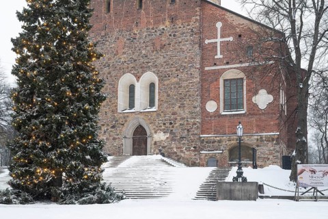 Christmas tree with fairy lights in front of stairs leading to the main portal, Turku Cathedral,
