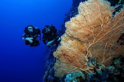 Underwater photo of two divers with twin-tube regulator and rebreather on the left Aquanaut with