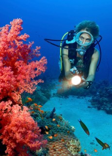 Underwater photo Diver looking at illuminated red soft coral (Dendronephthya) Soft corals near the