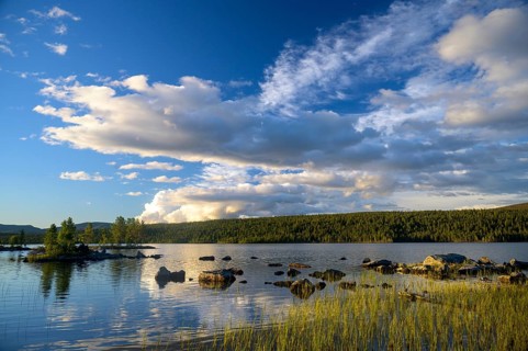 Calm lake with cloudy sky and reflections, surrounded by green trees, Gutulia National Park,