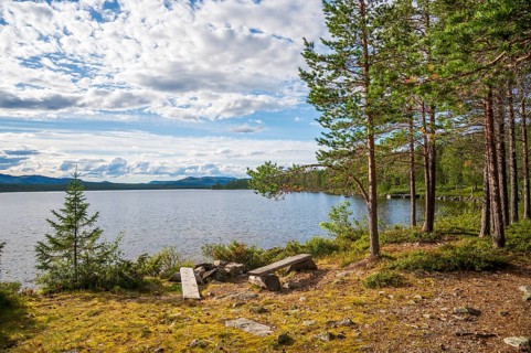Bench overlooking a lake and surrounding forest landscape, Gutulia National Park, Engerdal,
