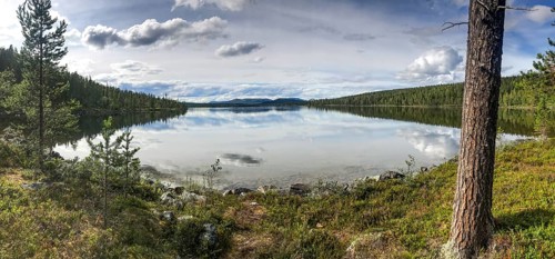 Drevsjø, Innlandet, Norway, calm lake with forest and reflection of clouds, peaceful atmosphere,