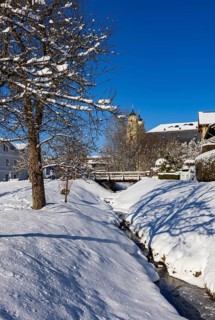 Snowy fruit trees with St. Michael Basilica, Mondsee, Mondseeland, Salzkammergut, Upper Austria,