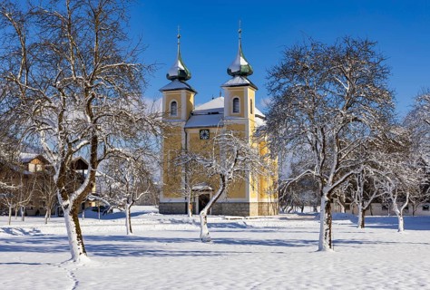 Snowy fruit trees with St. Lawrence Church in Sankt Lorenz bei Mondsee, Mondseeland, Salzkammergut,