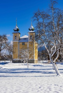 Snowy fruit trees with St. Lawrence Church in Sankt Lorenz bei Mondsee, Mondseeland, Salzkammergut,