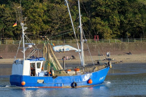 Blue fishing boat fishing boat on Jade Bay sails into Dangaster Harbour near the wooded shore under