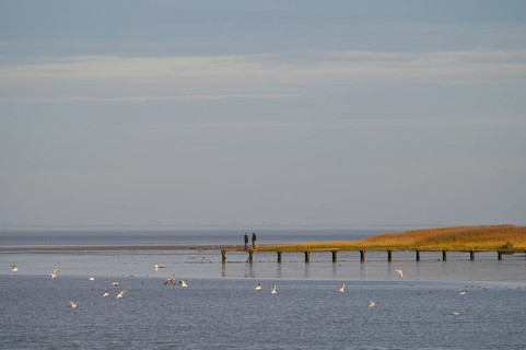Two people stand on a jetty, seagulls fly across the calm sea, Wadden Sea National Park, Jade Bay,