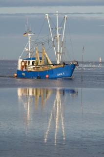 Blue fishing boat fishing trawler with reflection on still water under clear sky, Wadden Sea