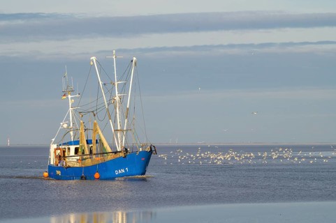 A fishing boat fishing trawler with seagulls around it in the sea under a wide sky, Wadden Sea