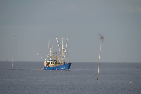 A fishing boat fishing trawler on the sea, surrounded by water and under a wide sky, pricks