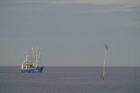 Fishing boat fishing trawler sails across calm sea jade breasts under a wide, cloudless sky on the