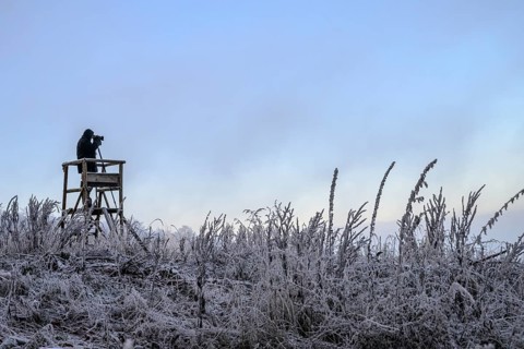 A photographer stands on a platform in a frosty landscape with cool, clear sky, Teutoburg Forest,