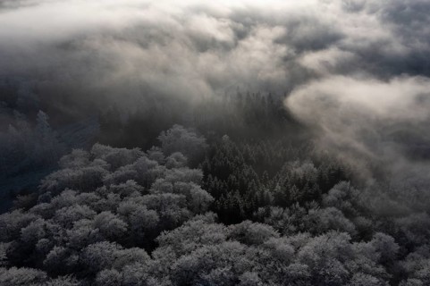 Dissen, Dissen am Teutoburger Wald, Lower Saxony, Germany, Frosty forests surrounded by clouds in a