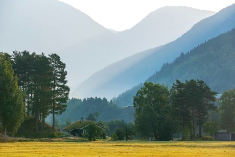 Peaceful mountain landscape with meadows and trees in soft morning light