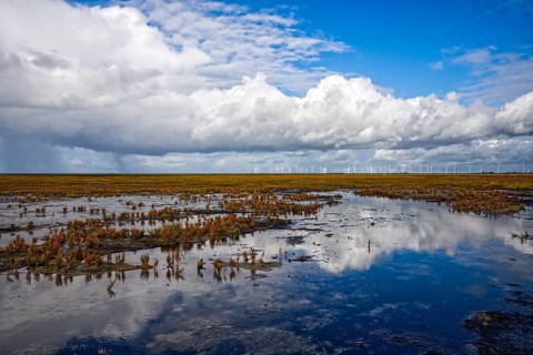 Wet marshland with water reflections and wind turbines in the distance under dramatic clouds