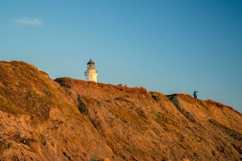 Hirtshals, Nordjylland region, Denmark, Hirtshals lighthouse stands on cliff in warm evening light