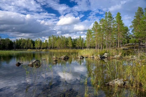 Torsborg, Jämtland County, Sweden, reflecting lake with rocks and forest in sunshine under cloudy