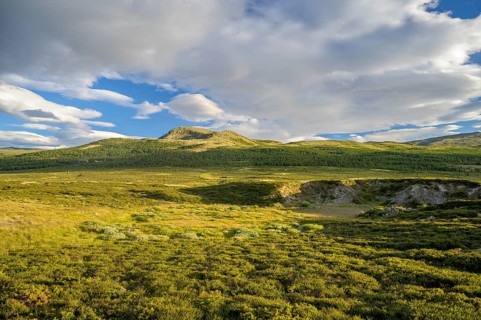 Dalholen, Innlandet, Norway, Open hilly landscape with vast sky and clouds