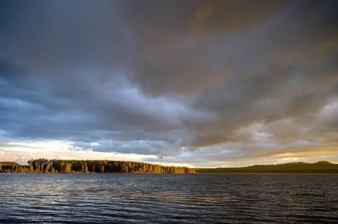 Evening over a lake with dark clouds and sun-drenched forest, Jämtland län, Sweden