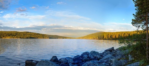 Panoramic view of Gutulsjön lake with surrounding forests under blue skies, Gutulia National Park,
