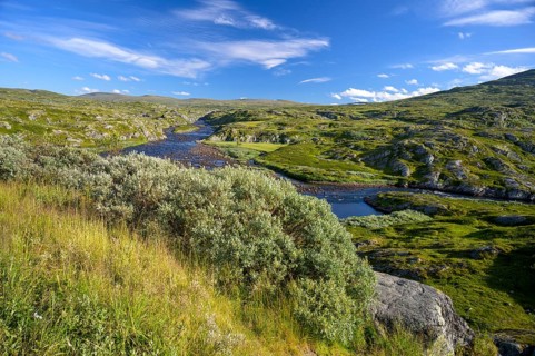 Vøringsfoss, Vestland, Norway, Green landscape with a river and hills under a blue sky in