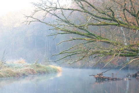 Peaceful river landscape between forest and meadow with mist and calm water in autumn, ray of light