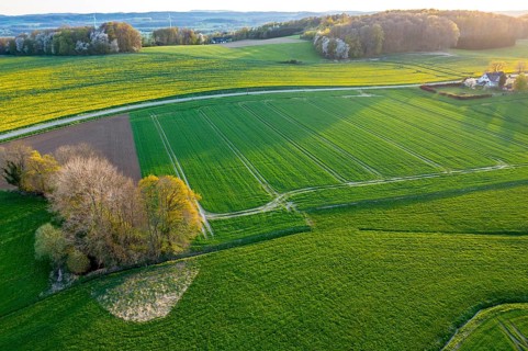 Evening landscape with extensive fields and a path illuminated by sunset. Curved aerial view in