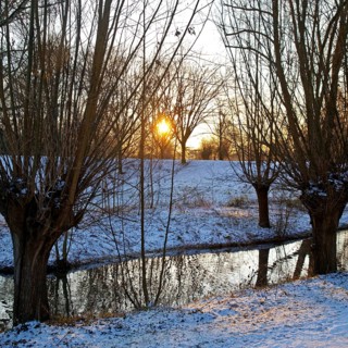 Sunrise over Lower Rhine landscape on the Aubruch Canal in winter, Moers, Wesel district, Lower