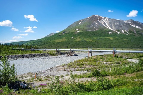 Alaska Pipeline Oil Pipeline, Alaska Range, Richardson Highway, Alaska, USA