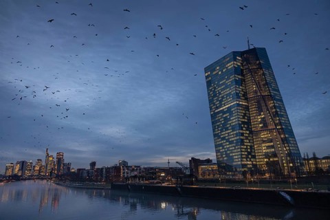 A flock of birds flies in the evening from the European Central Bank (ECB) towards the Frankfurt