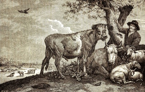 The Young Bull, after Paul Potter (1625-1654) Dutch Baroque painter, animal portrait, landscape,