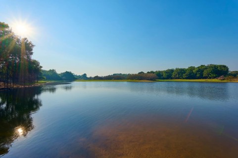 A calm lake with a clear reflection, surrounded by trees under blue skies and sunshine, Fazenda