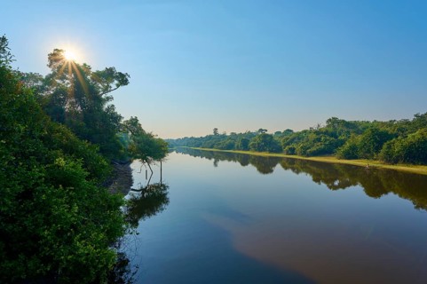 Sun rays shine through trees across the calm river, blue sky as backdrop, Fazenda Barranco Alto,