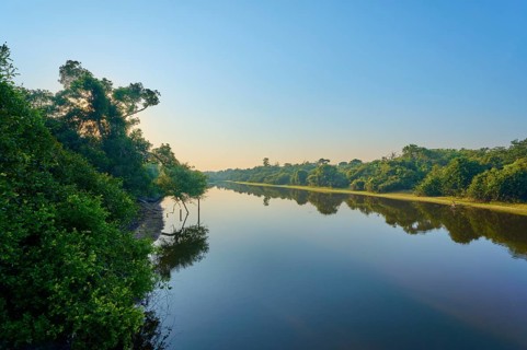Bright blue and green over a quiet river lined with trees early in the morning, Fazenda Barranco