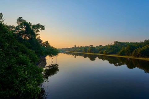 Morning sun illuminates the river in shades of blue with a touch of yellow, surrounded by trees,